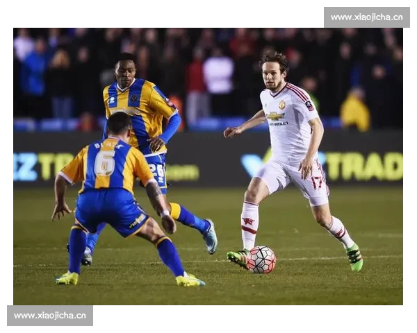 高清足球赛事直播APP下载指南畅享全球赛场精彩即时比分数据分析权威解说 - 副本 - 副本 (49) - 副本 - 副本 - 副本 - 副本 - 副本